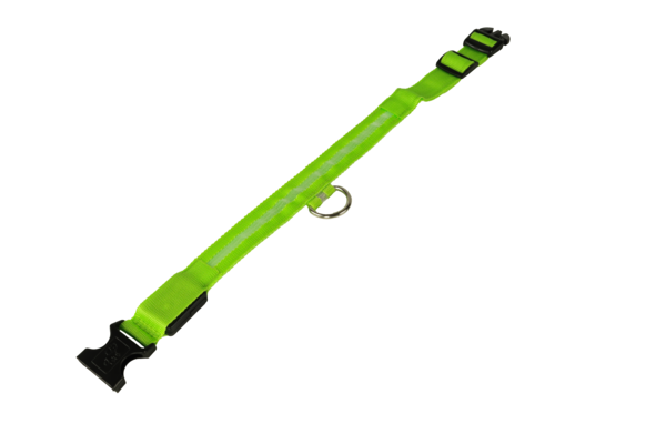 mypetworld Cuello luminoso verde L Batería recargable mypetworld Cuello luminoso verde L Batería recargable