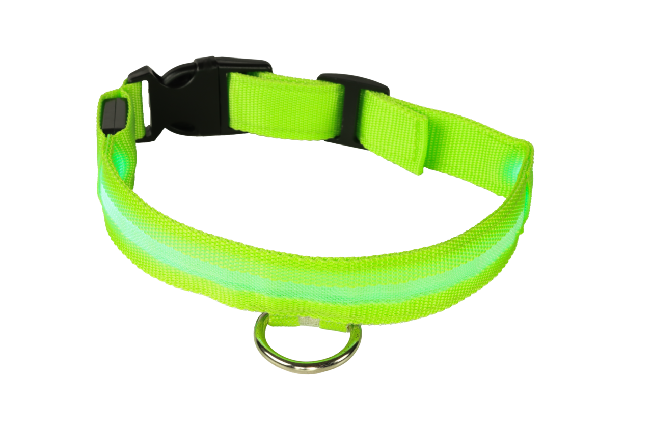 mypetworld Lichtgevende halsband groen S Oplaadbare batterij mypetworld Lichtgevende halsband groen S Oplaadbare batterij