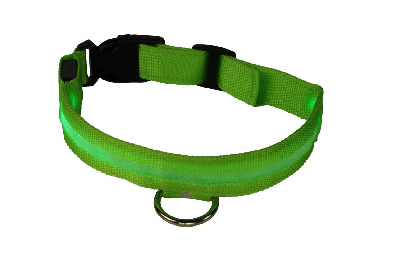 mypetworld Lichtgevende halsband groen S Oplaadbare batterij mypetworld Lichtgevende halsband groen S Oplaadbare batterij