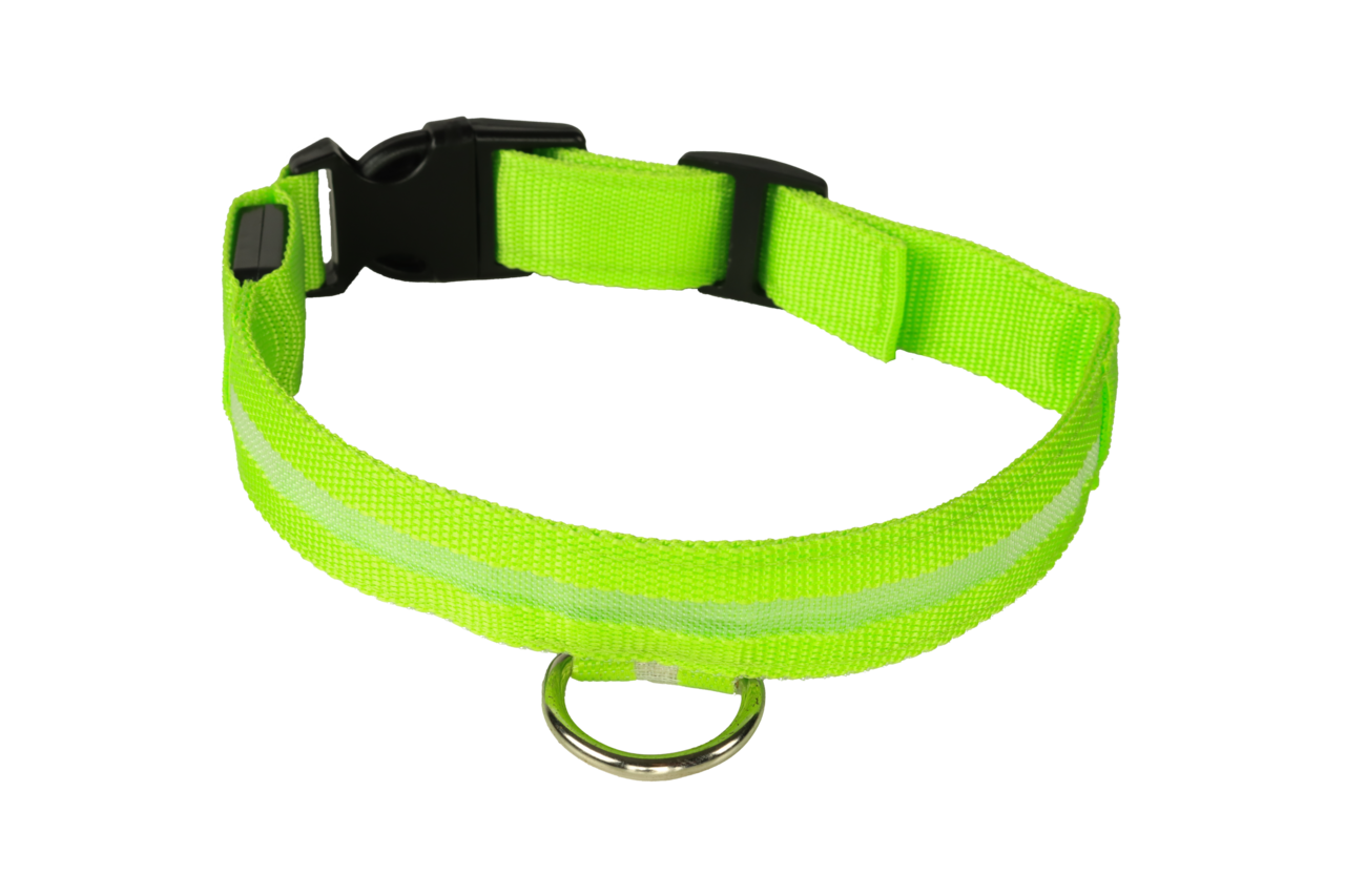 mypetworld Lichtgevende halsband groen S Oplaadbare batterij mypetworld Lichtgevende halsband groen S Oplaadbare batterij