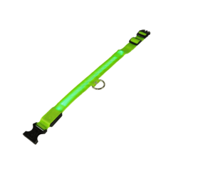 mypetworld Collier lumineux vert S Batterie