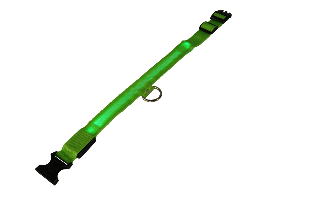 mypetworld Leuchthalsband grün S Batterie