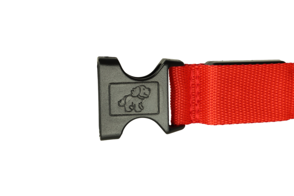 mypetworld Collier lumineux rouge XL Batterie rechargeable
