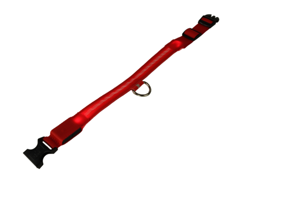 mypetworld Luminous collar red L Rechargeable battery mypetworld Luminous collar red L Rechargeable battery