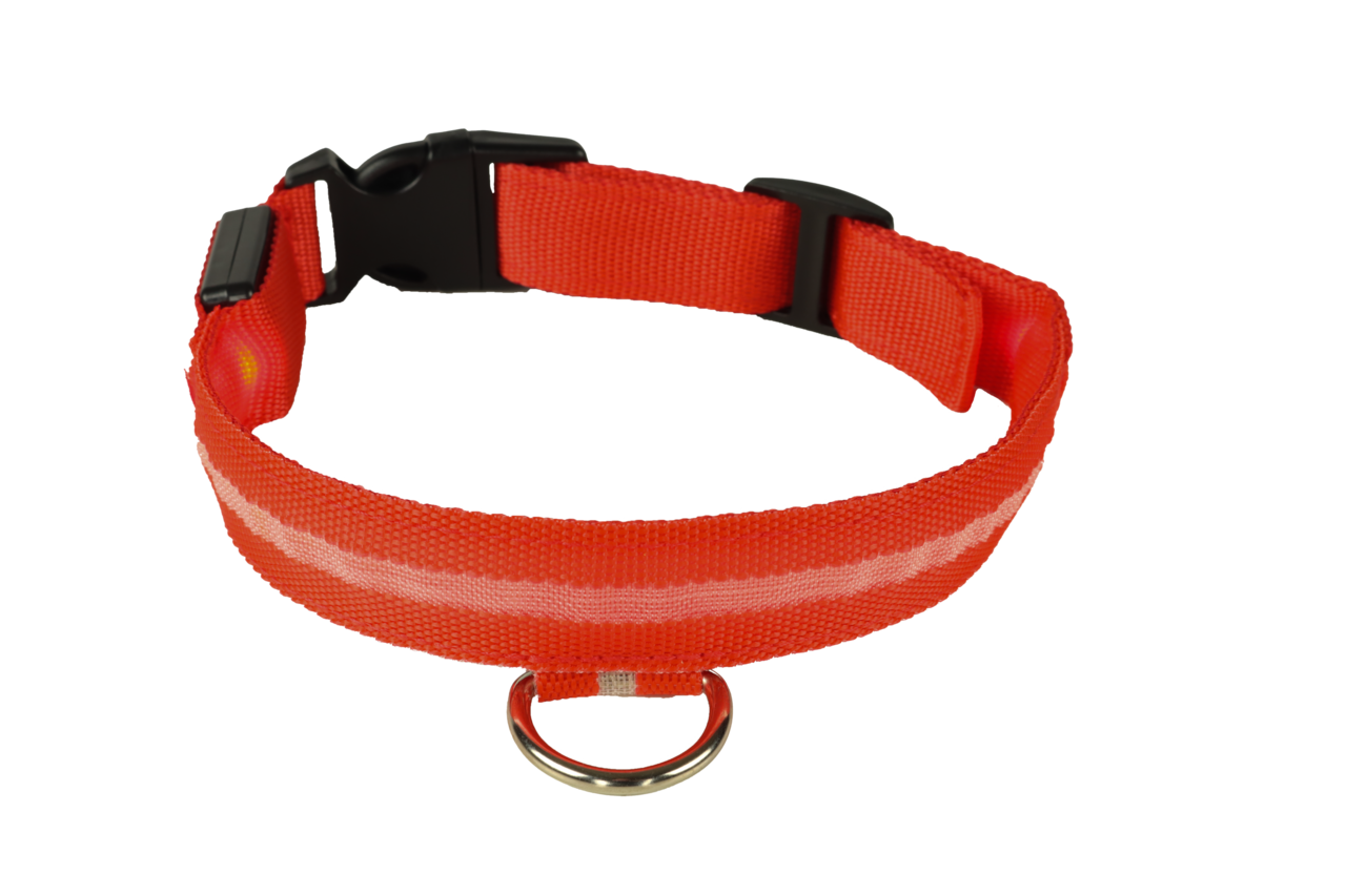 mypetworld Luminous collar red L Rechargeable battery mypetworld Luminous collar red L Rechargeable battery