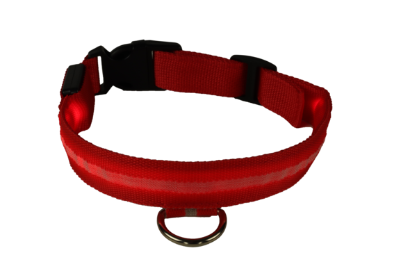 mypetworld Luminous collar red L Rechargeable battery mypetworld Luminous collar red L Rechargeable battery