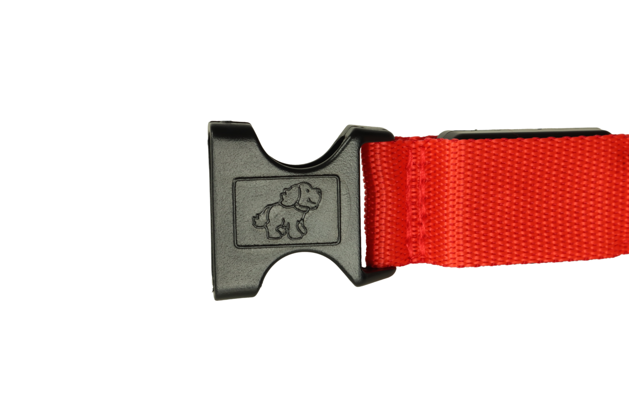 mypetworld Collier lumineux rouge L Batterie rechargeable mypetworld Collier lumineux rouge L Batterie rechargeable