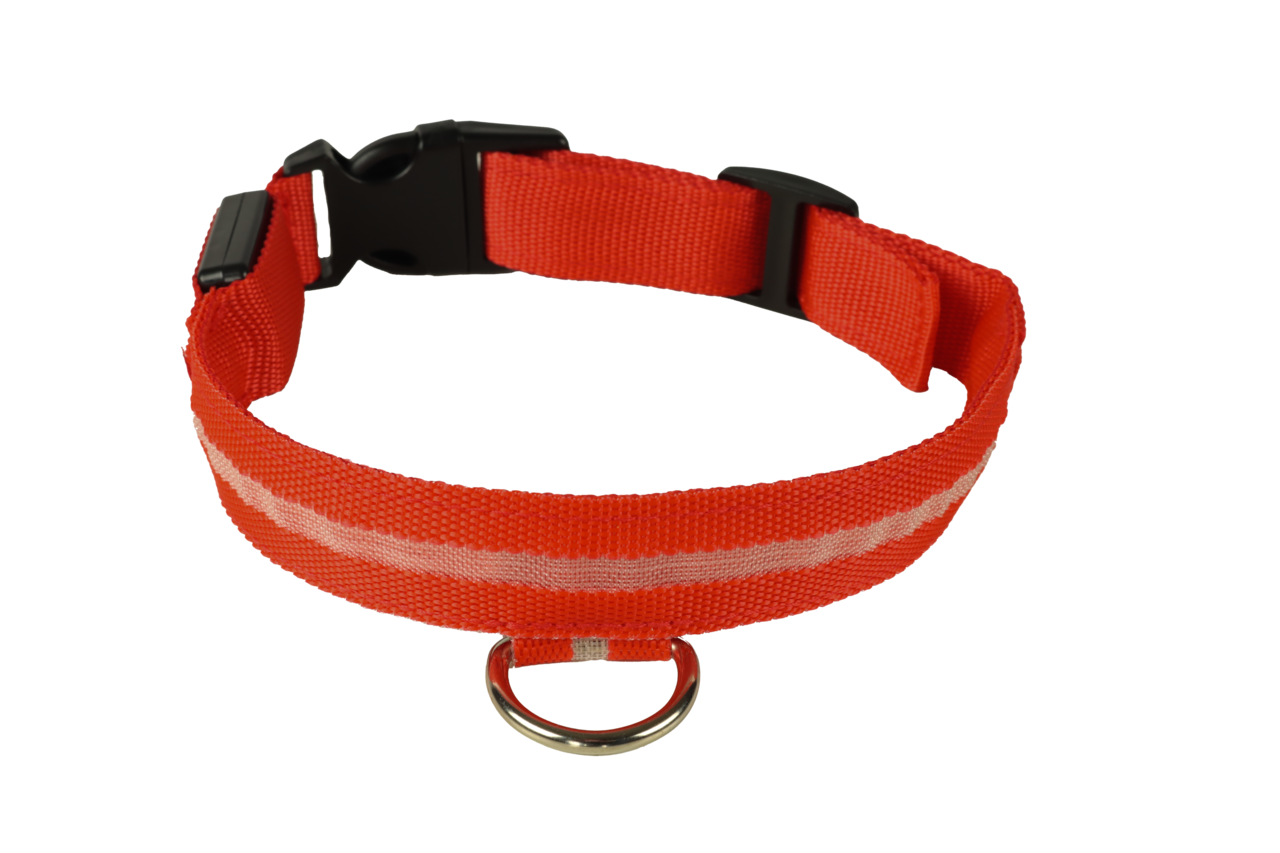 mypetworld Luminous collar red M Rechargeable battery