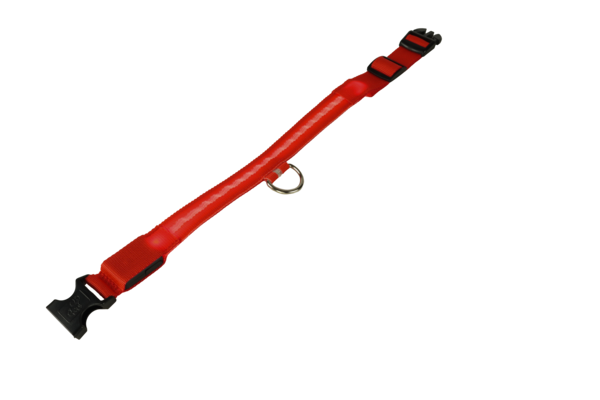 mypetworld Collier lumineux rouge M Batterie rechargeable
