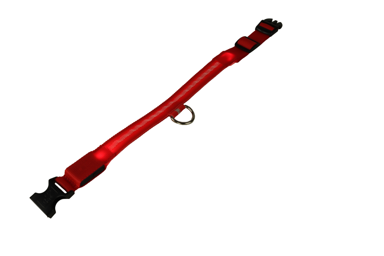 mypetworld Collare illuminato rosso M Batteria