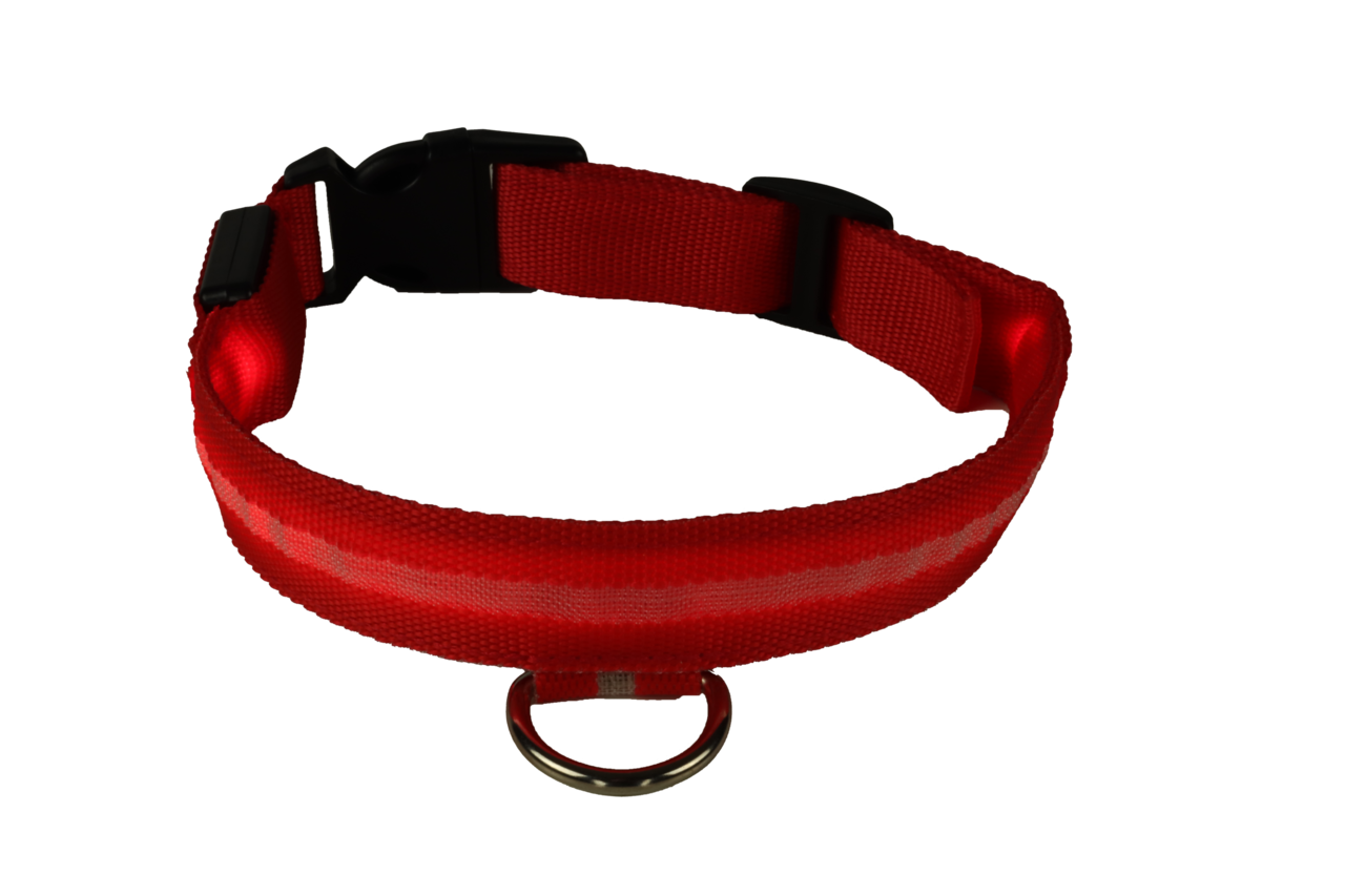 mypetworld Gola luminosa vermelha M Bateria