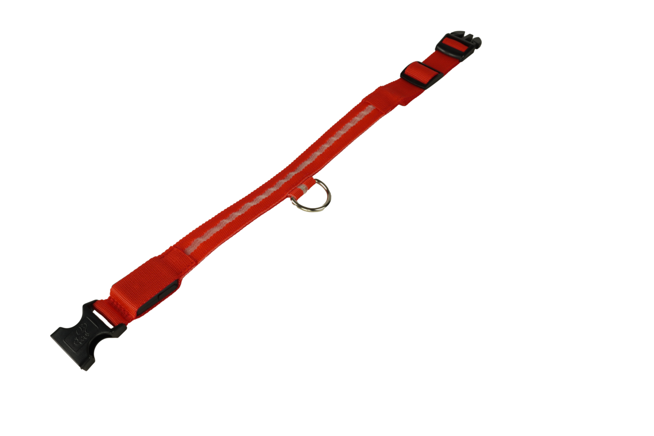 mypetworld Leuchthalsband rot S Batterie mypetworld Leuchthalsband rot S Batterie