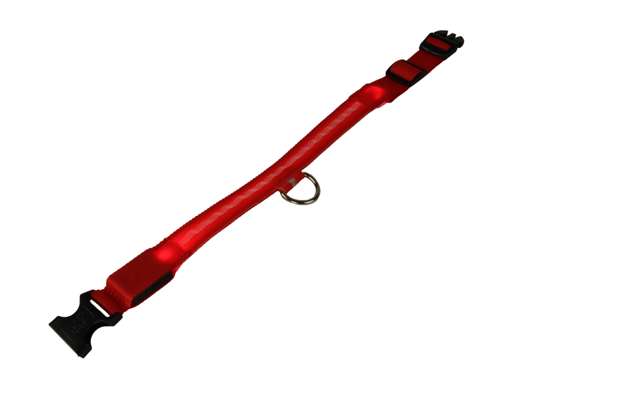 mypetworld Leuchthalsband rot S Batterie mypetworld Leuchthalsband rot S Batterie