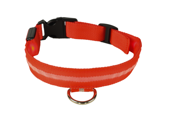 mypetworld Gola luminosa vermelha S bateria recarregável