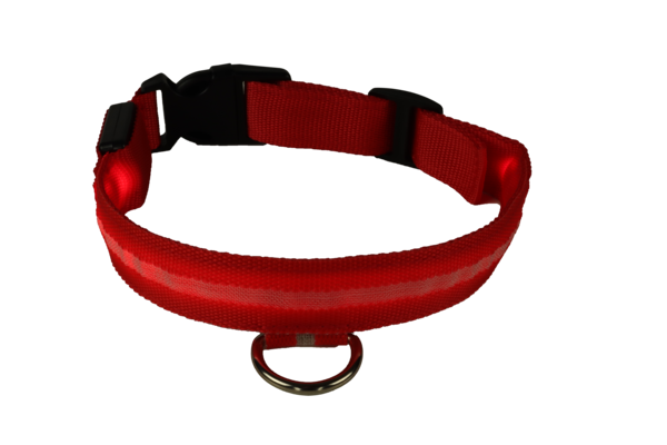 mypetworld Collare illuminato rosso S Batteria ricaricabile mypetworld Collare illuminato rosso S Batteria ricaricabile