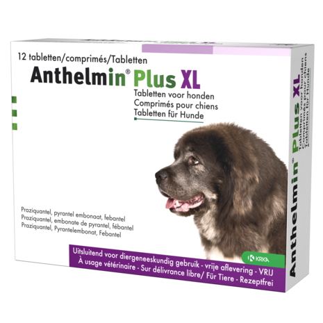 Anthelmin Anthelmin plus XL Dog