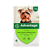 Bayer Advantage Hond 4-10kg 4st. Bayer Advantage Hond 4-10kg 4st.