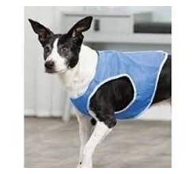 Papillon Pet Products Papillon Koelvest voor honden 20 cm Papillon Pet Products Papillon Koelvest voor honden 20 cm