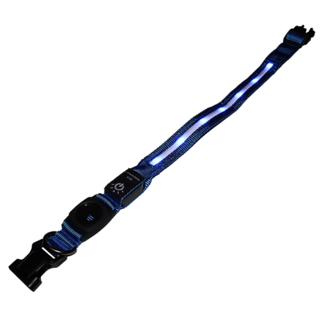 mypetworld Light-up collar blue L Battery USB C mypetworld Light-up collar blue L Battery USB C