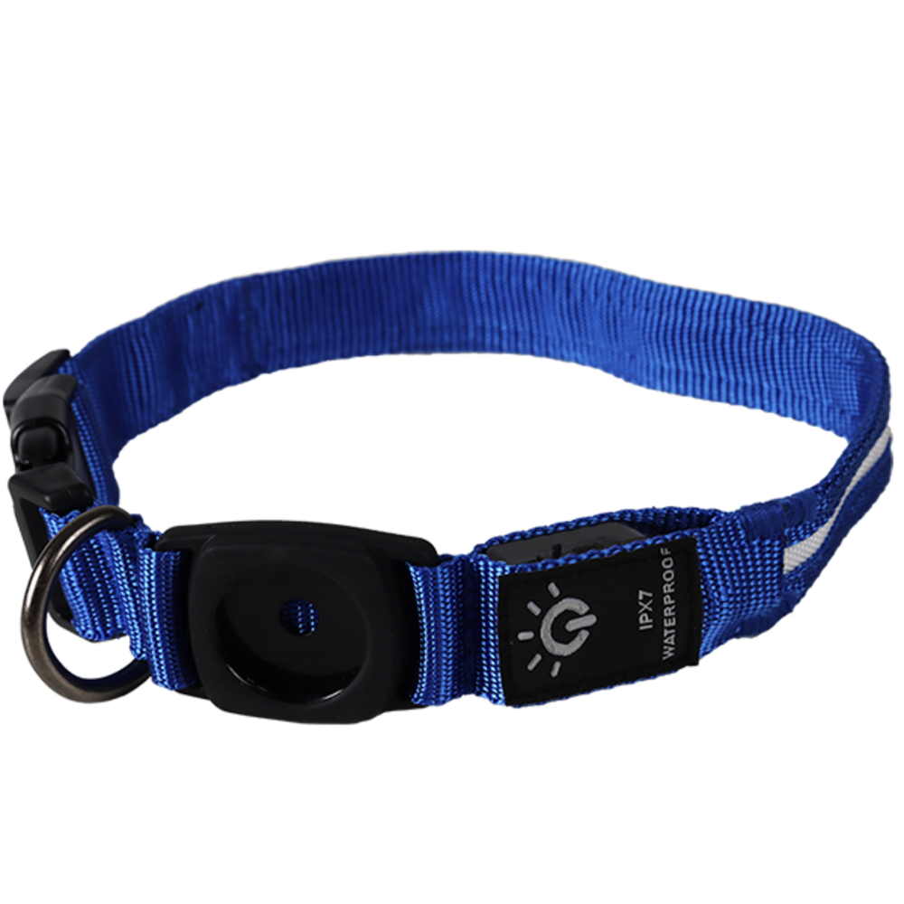 mypetworld Light-up collar blue L Battery USB C mypetworld Light-up collar blue L Battery USB C