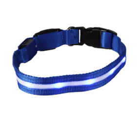 mypetworld Collare luminoso blu  L Batteria USB C