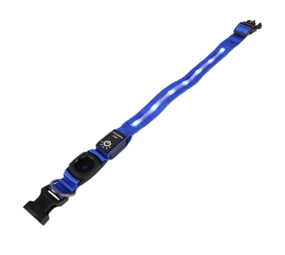mypetworld Luminous collar blue M Battery USB C