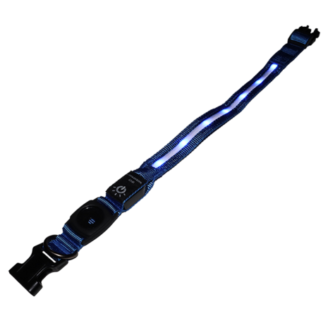 mypetworld Coleira luminosa azul Bateria M USB C mypetworld Coleira luminosa azul Bateria M USB C