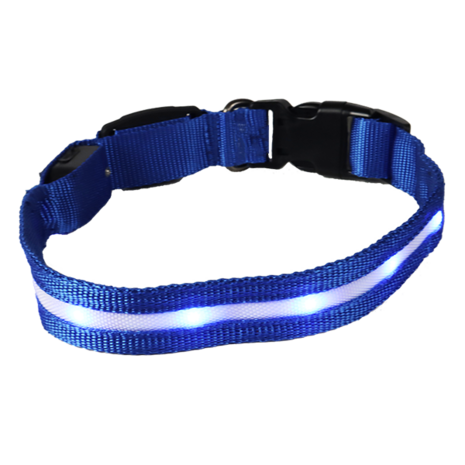 mypetworld Collare luminoso blu  M Batteria USB C