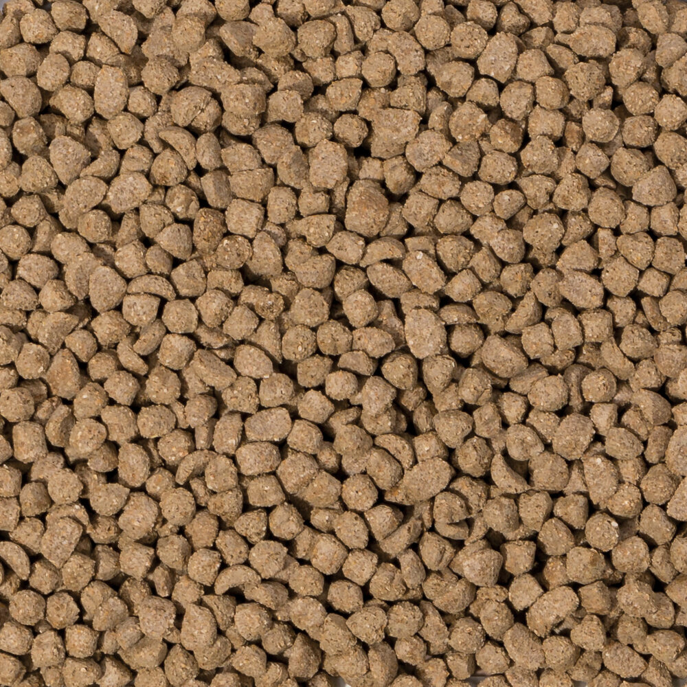 Beaphar Beaphar Care+ Gerbo y Ratón 700 g Beaphar Beaphar Care+ Gerbo y Ratón 700 g