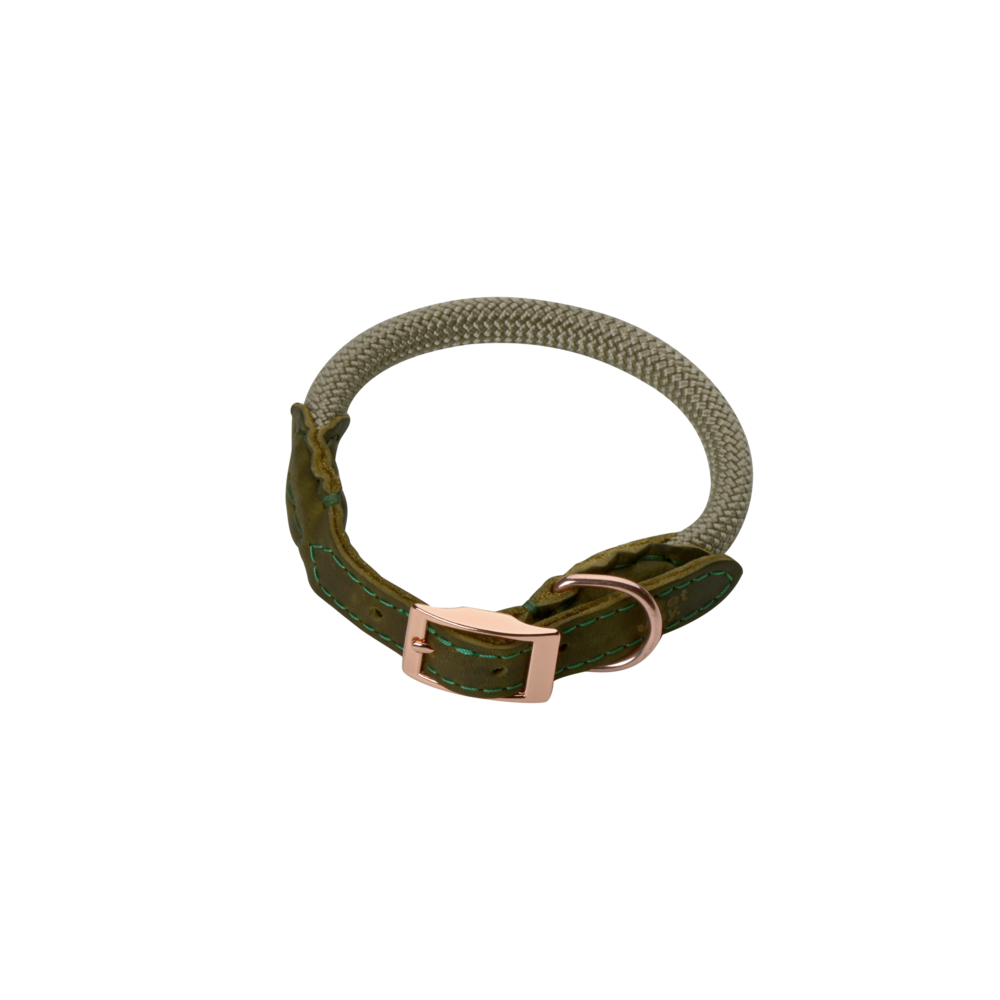 Pet-Joy Pet-Joy The DoggyWalker Collier Tan Green Pet-Joy Pet-Joy The DoggyWalker Collier Tan Green