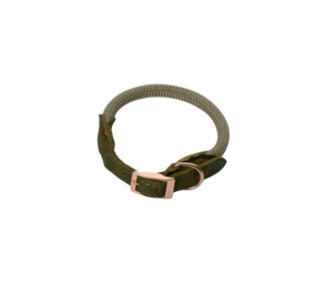 Pet-Joy Pet-Joy The DoggyWalker Collar Tan Green Pet-Joy Pet-Joy The DoggyWalker Collar Tan Green