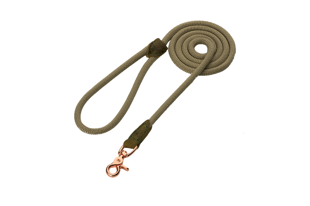 Pet-Joy Pet-Joy The DoggyWalker Rope Leash Tan Green Pet-Joy Pet-Joy The DoggyWalker Rope Leash Tan Green
