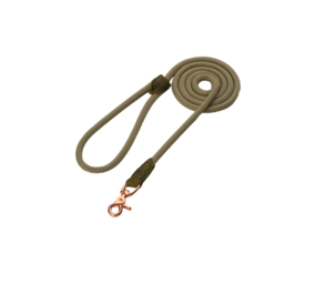 Pet-Joy Pet-Joy The DoggyWalker Rope Leash Tan Green Pet-Joy Pet-Joy The DoggyWalker Rope Leash Tan Green