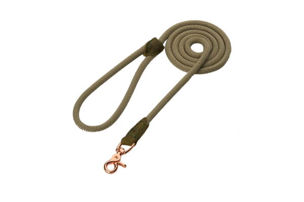 Pet-Joy Pet-Joy The DoggyWalker Rope Leash Tan Green Pet-Joy Pet-Joy The DoggyWalker Rope Leash Tan Green