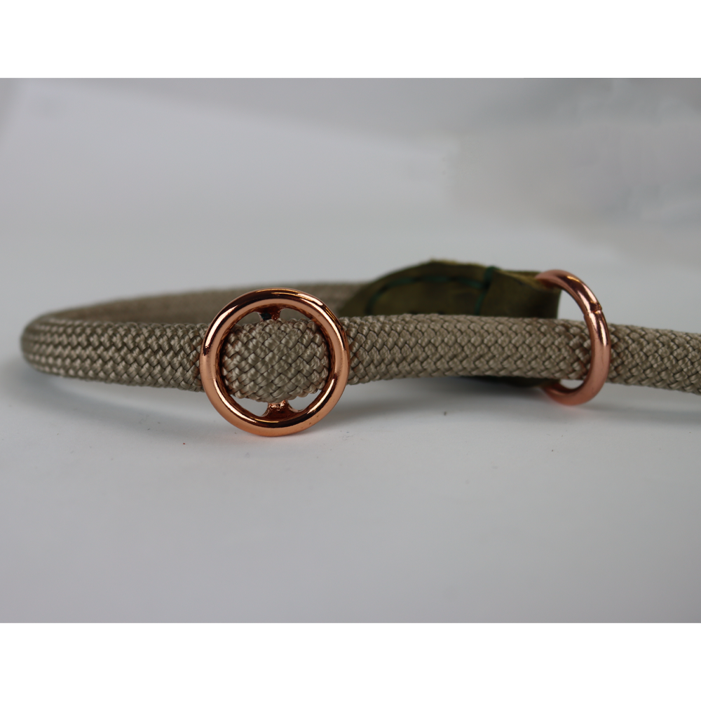 Pet-Joy Pet-Joy The DoggyWalker Gleitlinie Tan Green