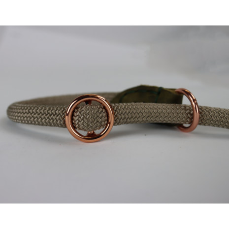 Pet-Joy Pet-Joy The DoggyWalker Gleitlinie Tan Green