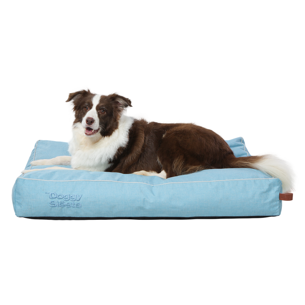 Pet-Joy Pet-Joy The DoggySiësta Strong Blue Pet-Joy Pet-Joy The DoggySiësta Strong Blue