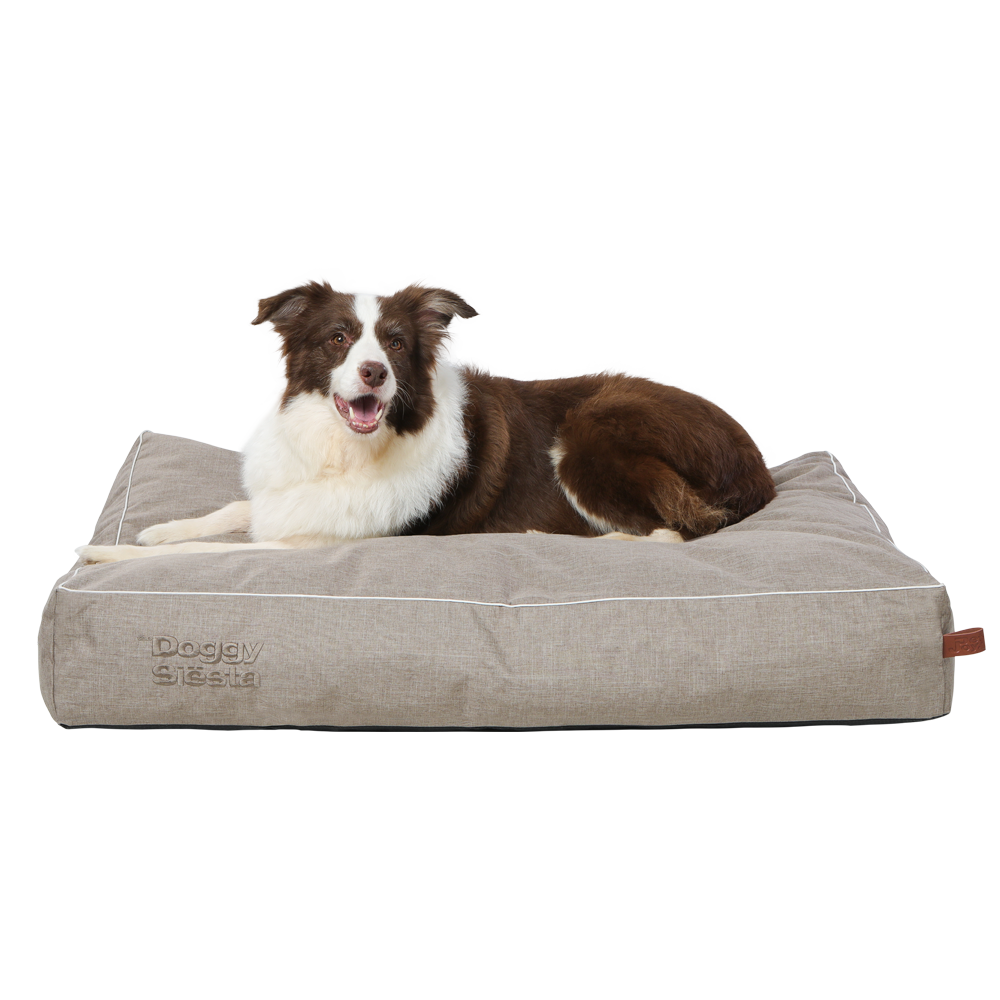 Pet-Joy Pet-Joy The DoggySiësta Strong Fossil Pet-Joy Pet-Joy The DoggySiësta Strong Fossil