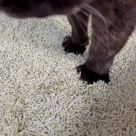 Hoopo Poh Litter Tray Grey + Tofu Hoopo Poh Litter Tray Grey + Tofu