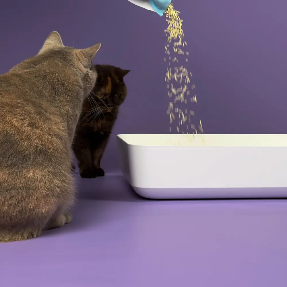 Hoopo Tofu-Katzenstreu 7L Hoopo Tofu-Katzenstreu 7L