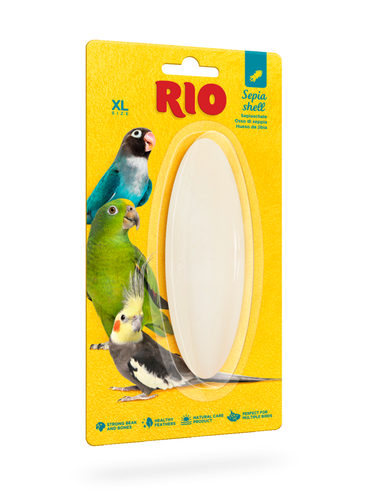 RIO RIO sepia coquille taille  XL