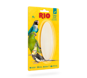 RIO RIO Sepia concha talla  XL