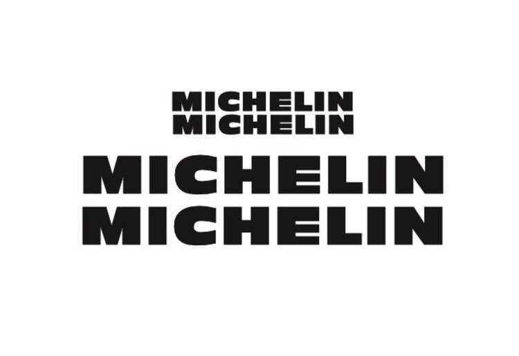 Michelin velglogo's
