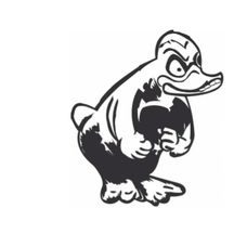 Angry Duck
