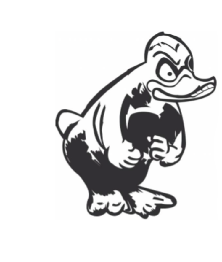 Angry Duck