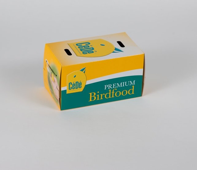 Klein vogeldoosje – veilig vervoer van kleine vogels Klein vogeldoosje – veilig vervoer van kleine vogels