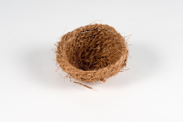 Cocosnest middel Cocosnest middel