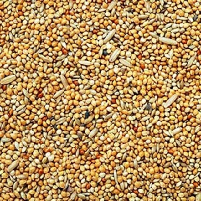 Parkietenzaad Parkietenzaad