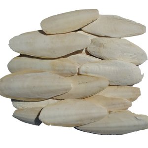 Gitua 6 stuks sepiaschalen voor schildpadden, 10-12 cm sepia-schalen voor vogels, reptielen, bartagamen en slakken, natuurlijk calcium en minerale voorziening