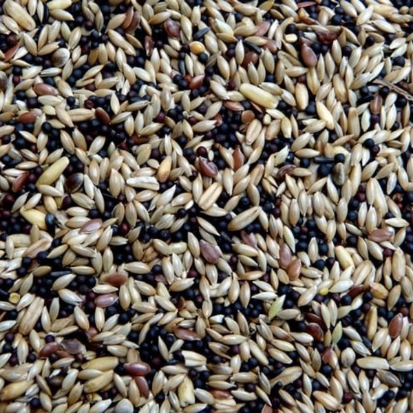 Deli Nature vogelvoer premium kanarie 4 kg kopen Deli Nature vogelvoer premium kanarie 4 kg kopen